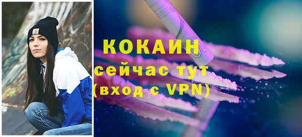 ALPHA PVP Гусев