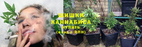 spice Гусь-Хрустальный