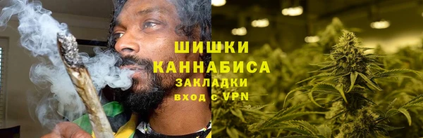 ALPHA PVP Гусев